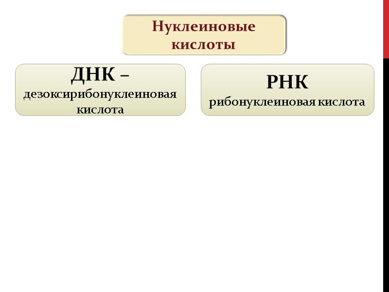 Нуклеиновые кислоты ДНК – дезоксирибонуклеиновая кислота  РНК рибонуклеиновая кислота